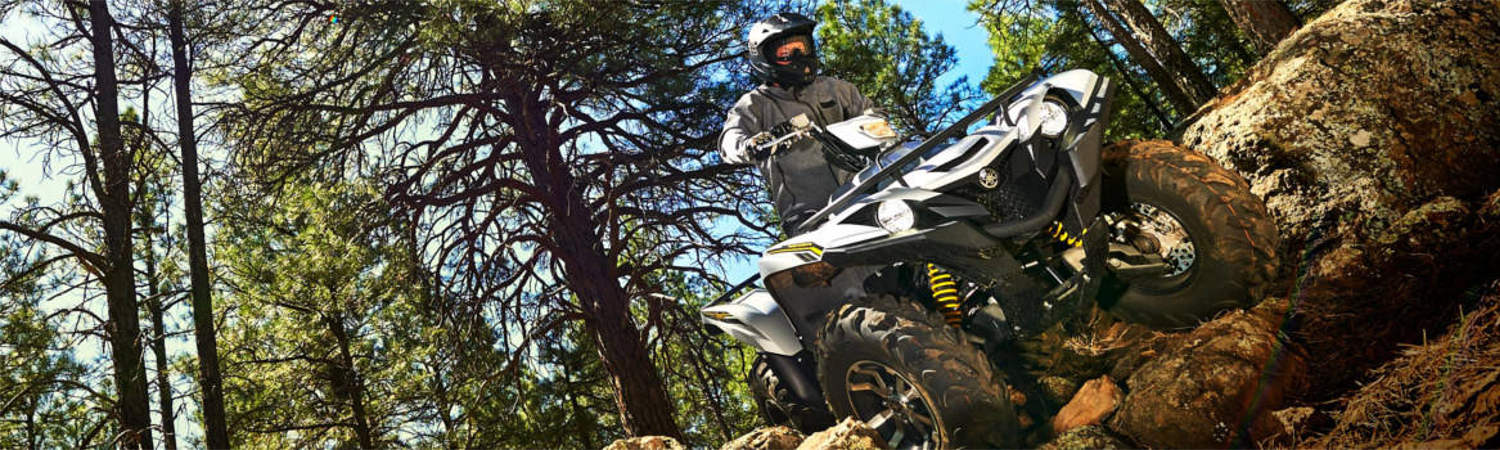 2019 Yamaha Grizzly for sale in Bigland Motorsports, Springdale, Newfoundland & Labrador
